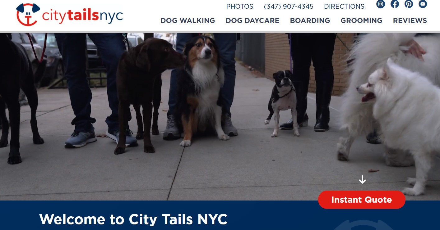 City Tails NYC New York New York