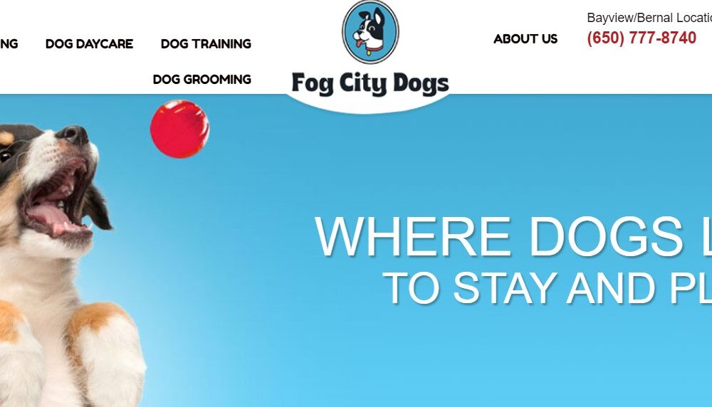 Fog City Dogs San Francisco California